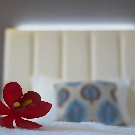 Azinheira By Ridan Otel