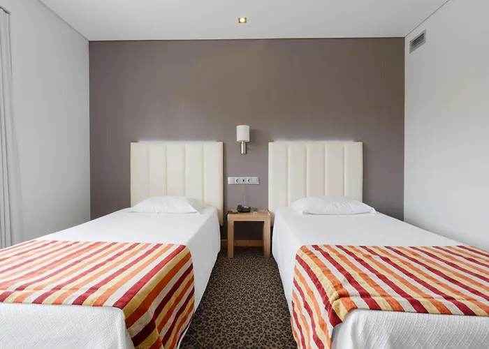 Azinheira By Ridan Fátima